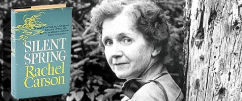 A brief review of rachel carsons book silent spring