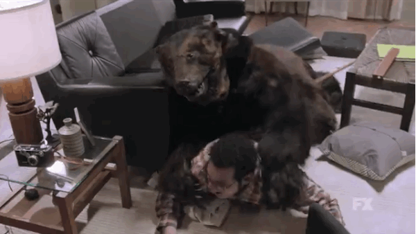 Image result for bear humping man gif