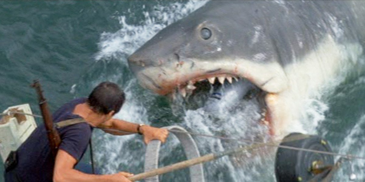 Jaws Just Turned 45, And The Internet Is Still In Love With The ...