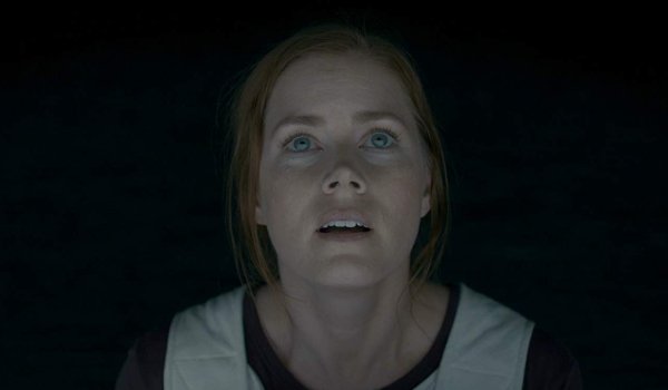 Arrival Amy Adams stares up at a Heptapod off screen