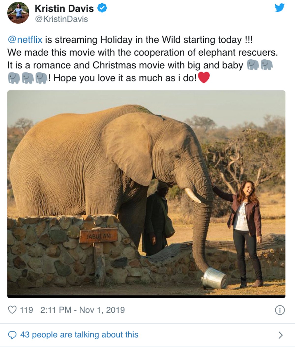 Where Did Netflix's Holiday In The Wild Film The Real ...
