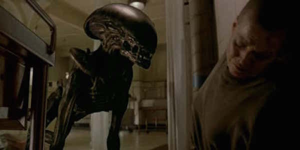 From A To Xenomorph The 14 Different Creatures In The Alien