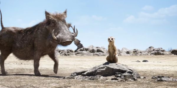 Timon and Pumbaa in the Lion King remake
