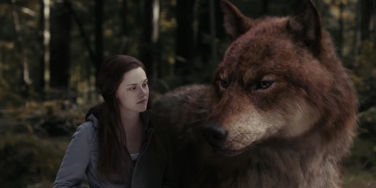 People Are Loving This Twilight Fan's Reaction To Finding Out How The Wolf  Scenes Were Filmed - CINEMABLEND