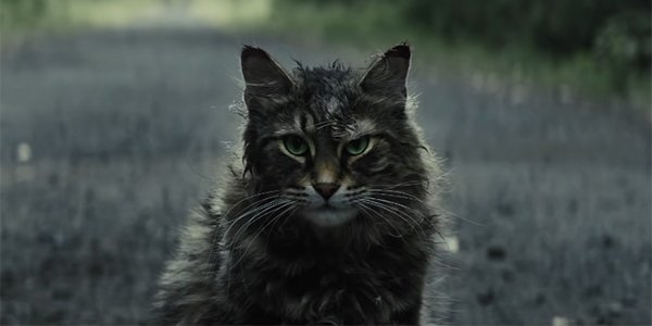 The Cat From Pet Sematary Has Died For Real - CINEMABLEND