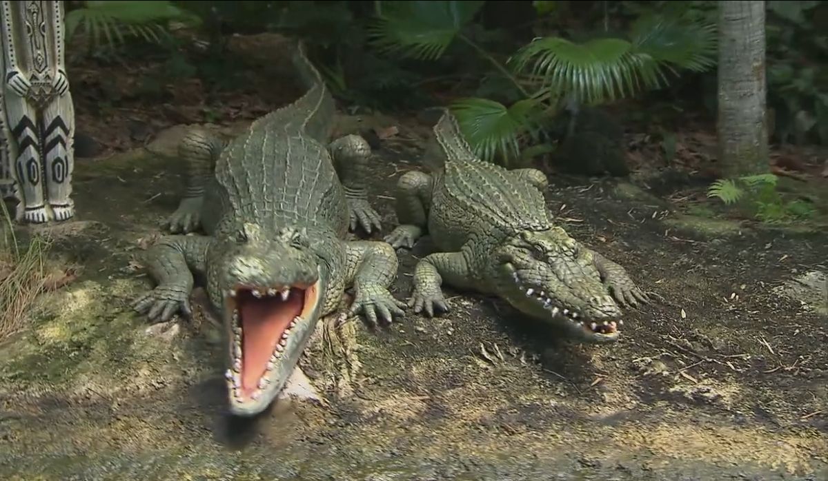 Crocodiles in Jungle Cruise
