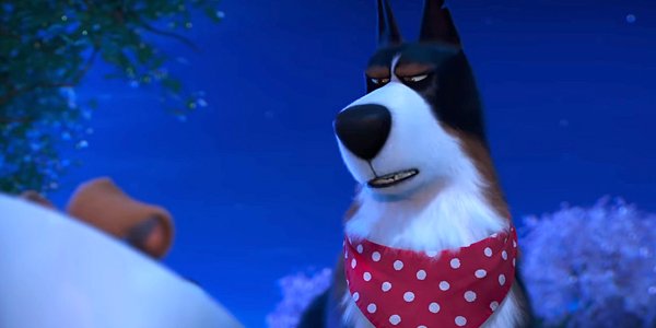 Image result for max and rooster secret life of pets