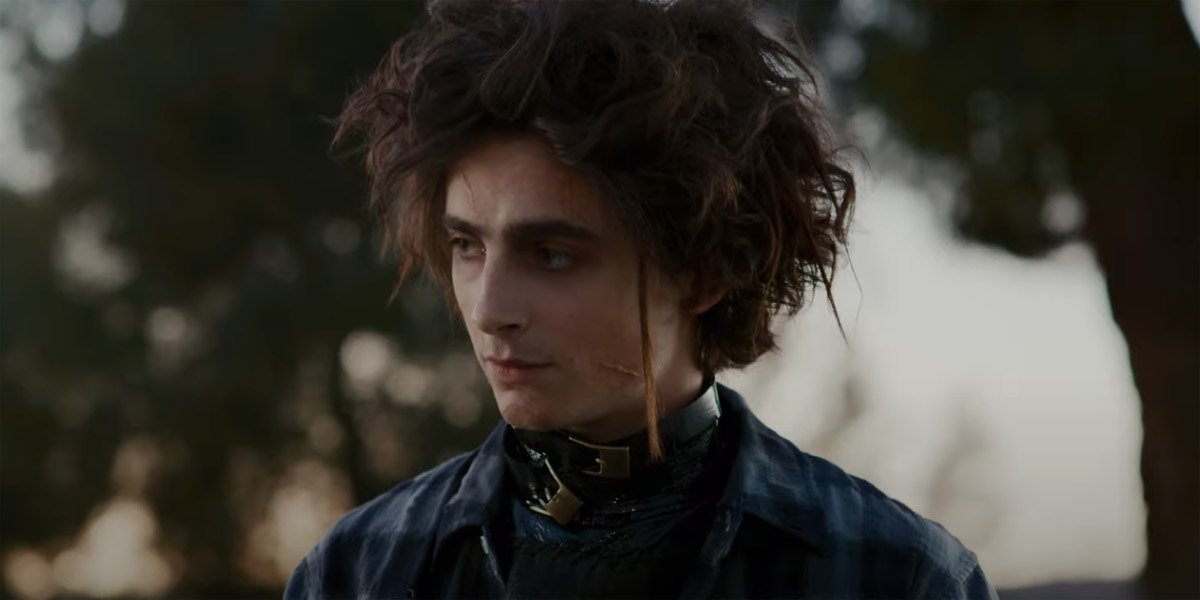 Timothee Chalamet plays Edward Scissorhands son in the Super Bowl ad and waits for the reboot