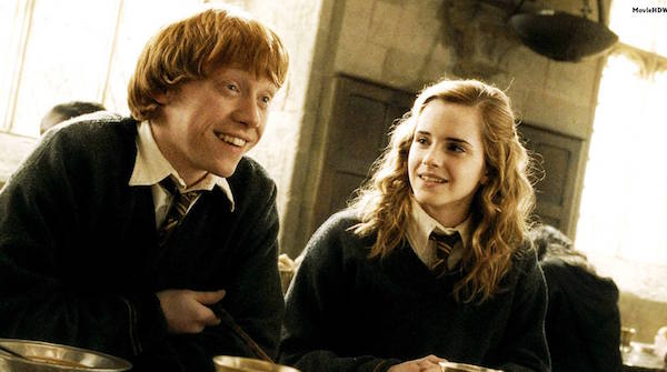 Image result for ron and hermione get together book